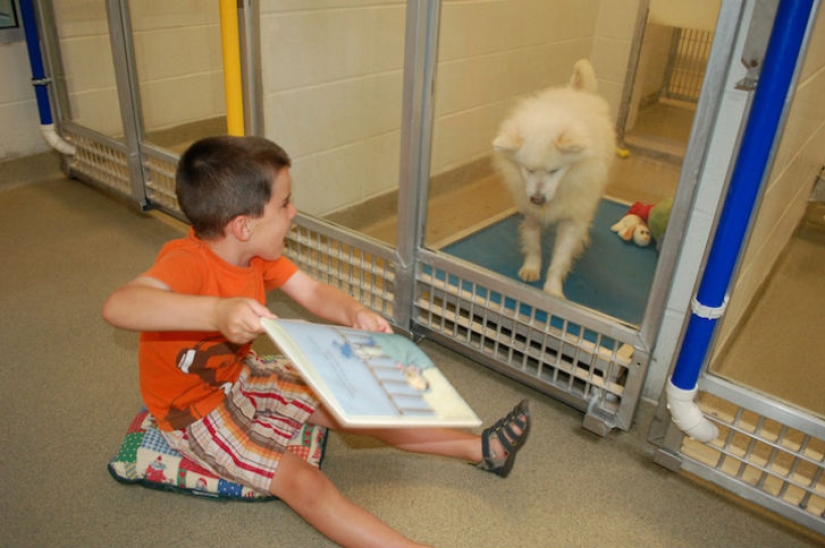 Los niños leen en voz alta en un refugio de animales para ayudar a los perros tímidos y acosados a adaptarse
