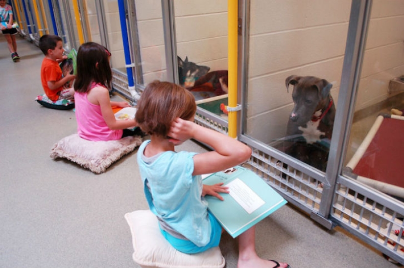 Los niños leen en voz alta en un refugio de animales para ayudar a los perros tímidos y acosados a adaptarse