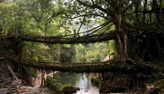 Los puentes peatonales más bellos del mundo