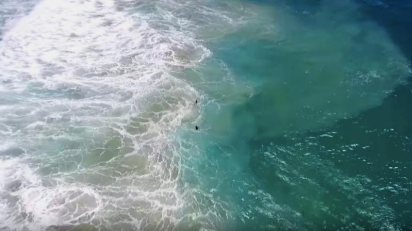 Los rescatistas de Malibu ya no están en el negocio: en Australia, un dron salvó a personas que se ahogaban por primera vez