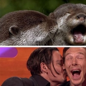 Los rumores se confirmaron: Benedict Cumberbatch es una nutria!