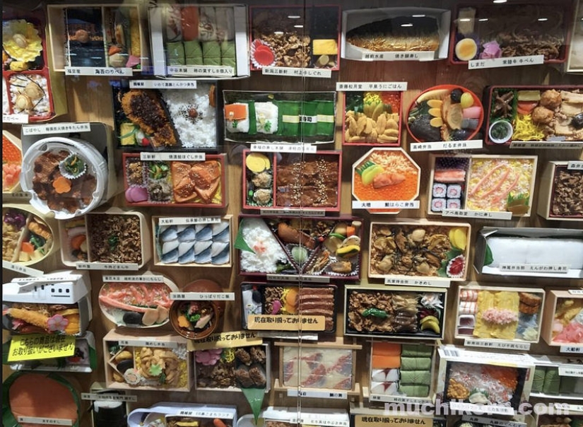 Lotus root, burdock appetizer and omelet with hieroglyphs: what they feed at the train station in Tokyo