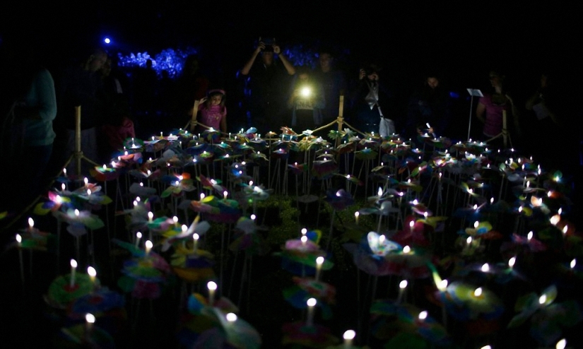 Lumina Light Festival 2014