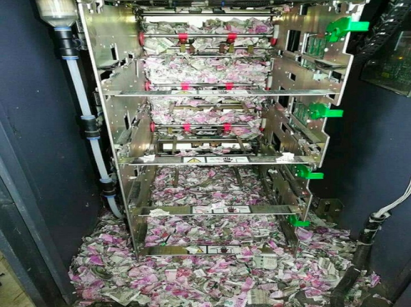 Lunch for a million: mice got into an ATM and ate all the money there