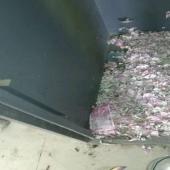 Lunch for a million: mice got into an ATM and ate all the money there