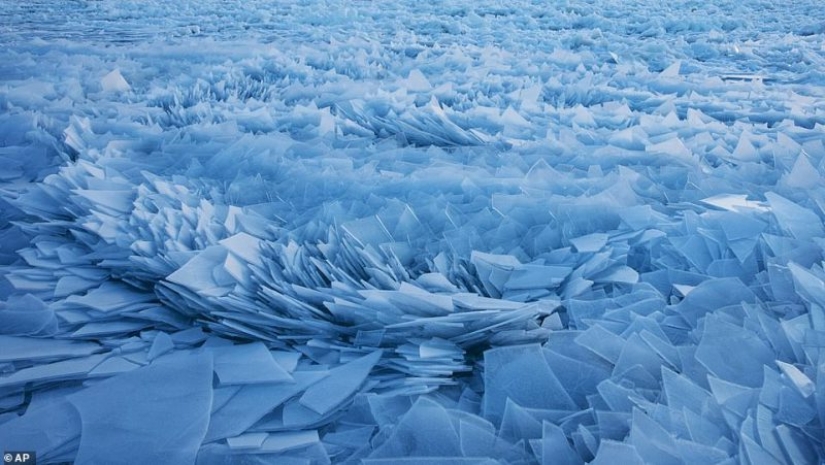 Magia de hielo: el lago Michigan cubierto de "escamas de dragón"