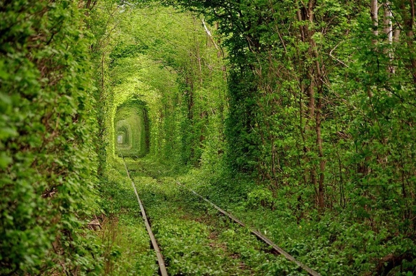 Magical paths leading straight into a fairy tale