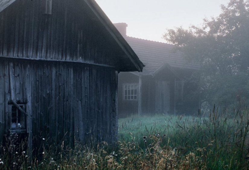 Magical photos of abandoned houses occupied by wild animals