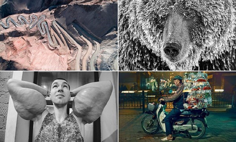 Manos de bazuca y otras imágenes de la lista de finalistas del Sony World Photography Award 2020