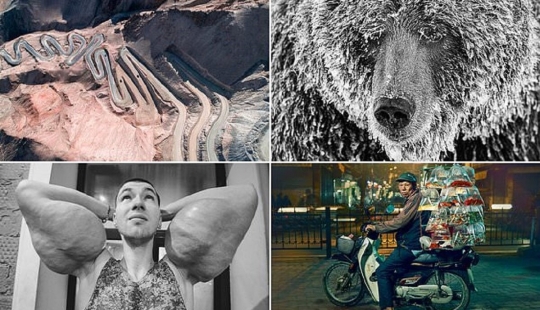 Manos de bazuca y otras imágenes de la lista de finalistas del Sony World Photography Award 2020