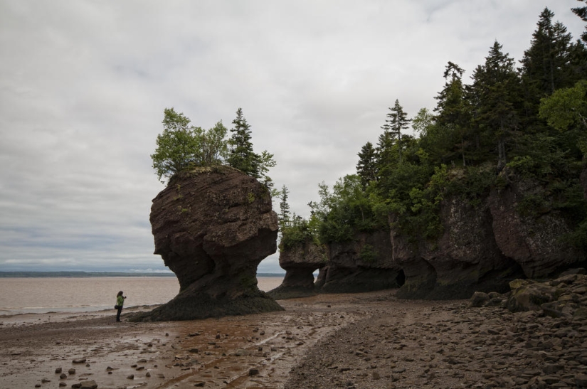 Maravilla natural-Rocas Hopewell en la Bahía de Fundy