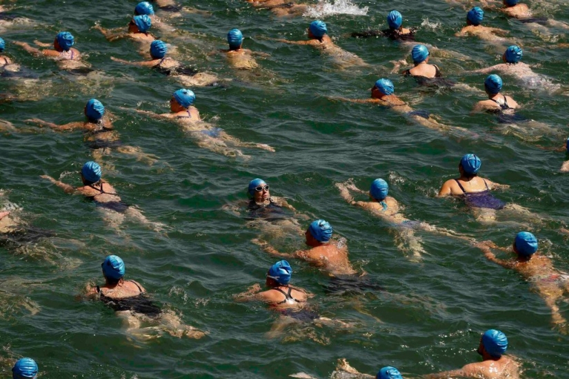 Mass swim blue caps in Lake Zurich