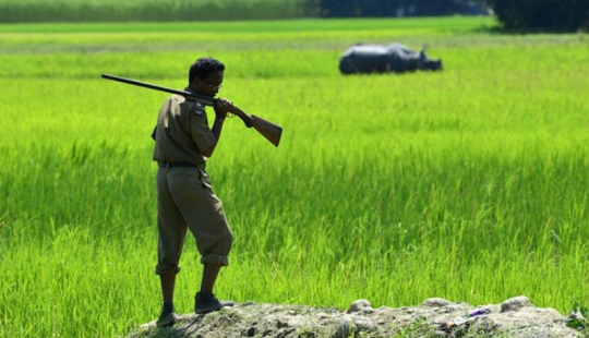 Matan a personas en un parque indio para salvar a los rinocerontes