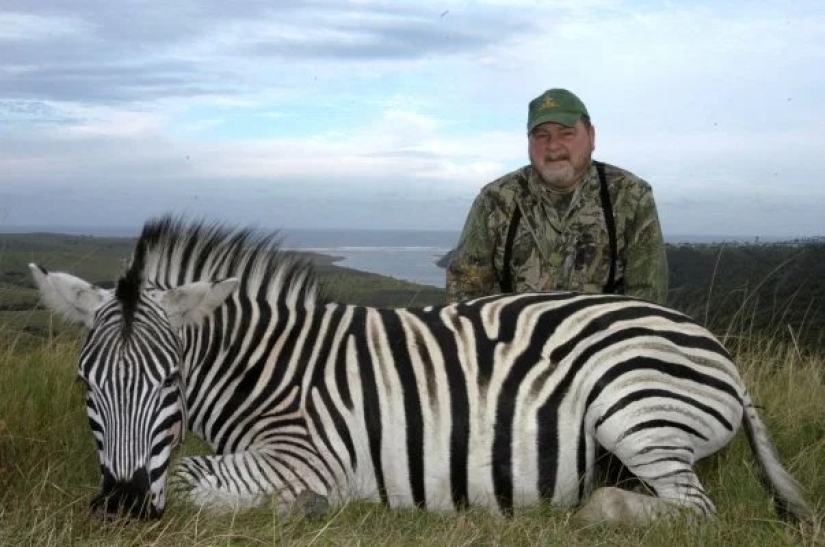 Matanza legalizada: Defensores de los animales se oponen a la caza de trofeos en Sudáfrica