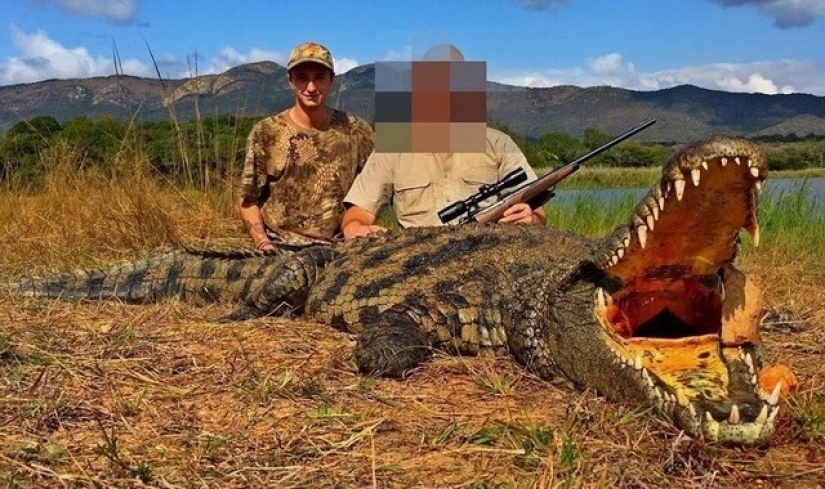 Matanza legalizada: Defensores de los animales se oponen a la caza de trofeos en Sudáfrica