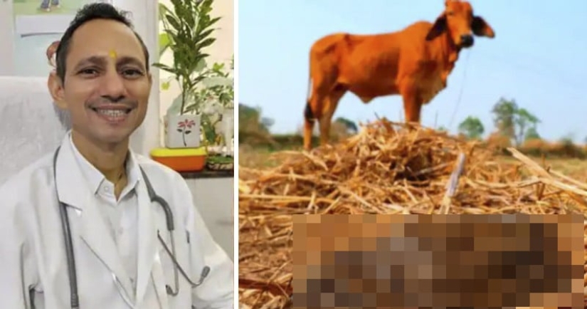 Médico indio come estiércol de vaca y lo recomienda a los pacientes