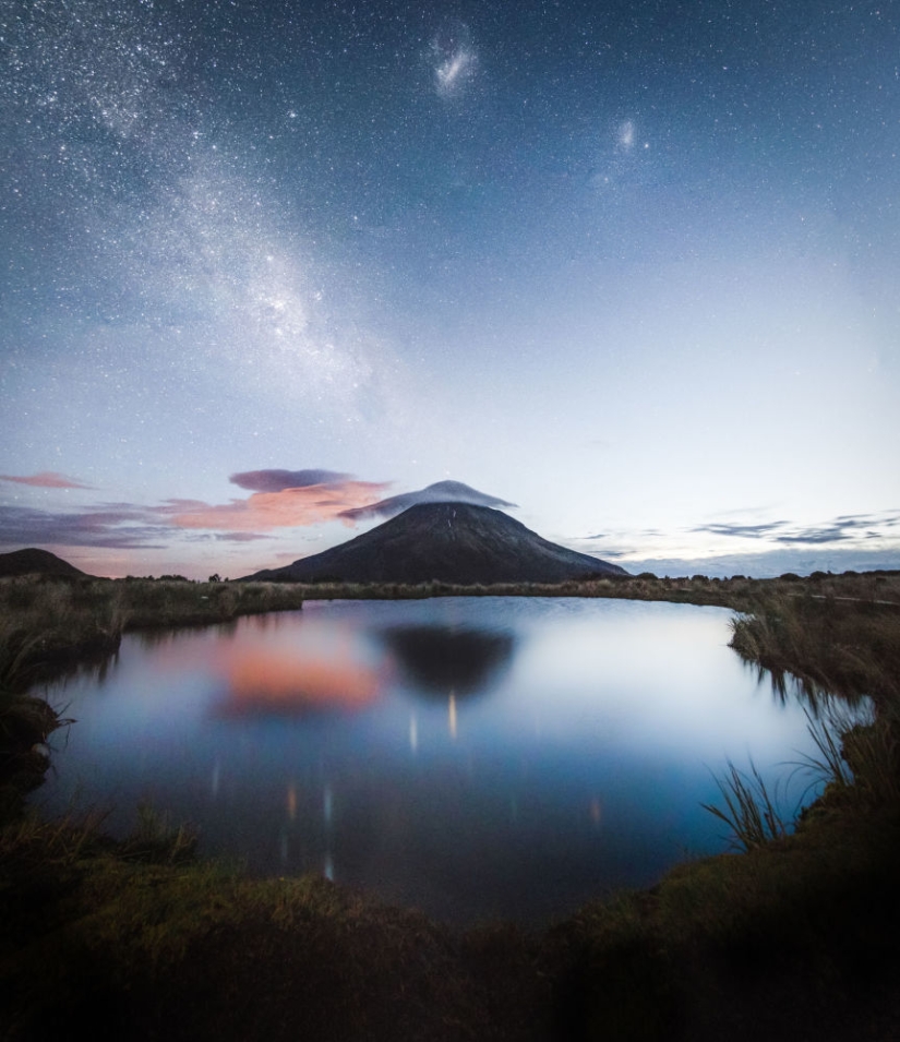 Mejores Fotos Científicas del Año: ganadores del Concurso de Fotografía Editorial de la Royal Society 2019