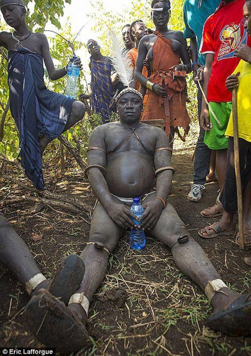 Men of the Ethiopian tribe drink blood with milk to get the title of the fattest inhabitant of the village