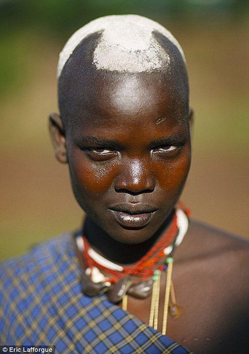 Men of the Ethiopian tribe drink blood with milk to get the title of the fattest inhabitant of the village