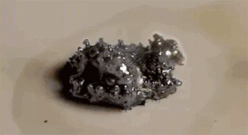 Mesmerizing gifs that will make you fall in love with science