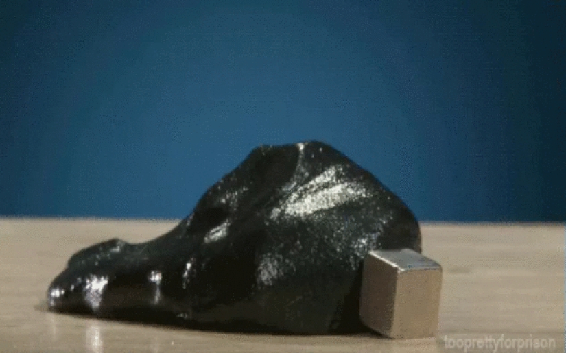 Mesmerizing gifs that will make you fall in love with science