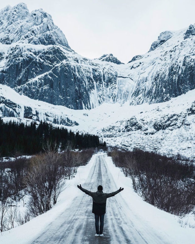 Milagro prenavideño: un raro cervatillo blanco como la nieve llegó al fotógrafo en Noruega