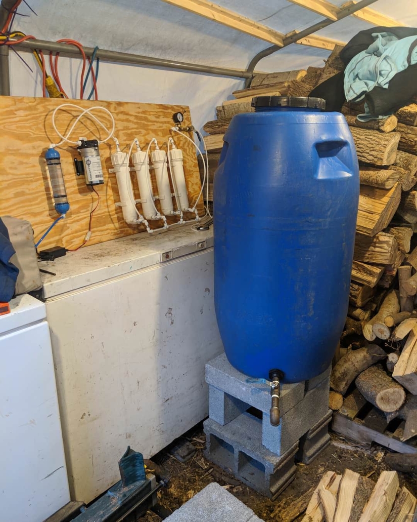 Milk a tree, or How to collect maple juice for a delicious syrup
