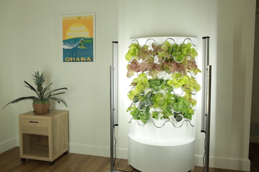 Mobile IT garden: up to 30 plants can grow simultaneously in an innovative indoor garden