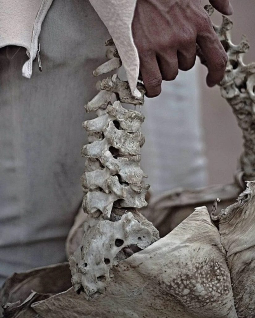 Moda en huesos: un joven diseñador fue criticado por una colección de ropa con elementos de restos humanos