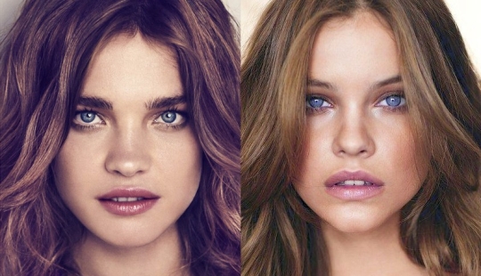 Models that are often confused with each other