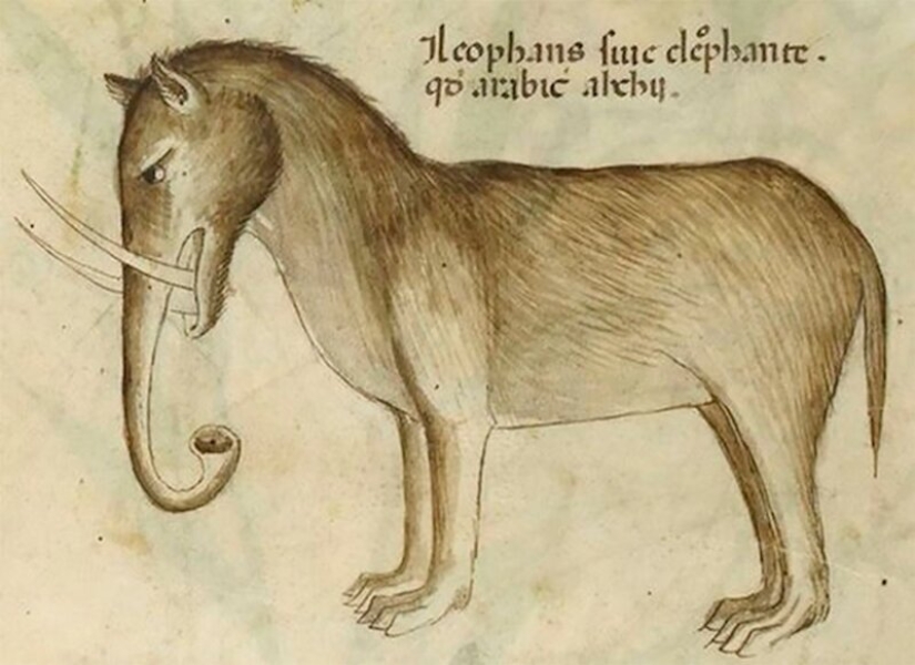 Monstruo de nariz: en la Edad media pintado elefantes