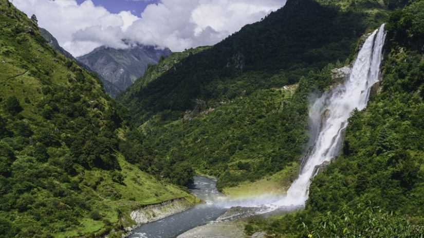 More than 200 new species of animals and plants discovered in the Himalayas