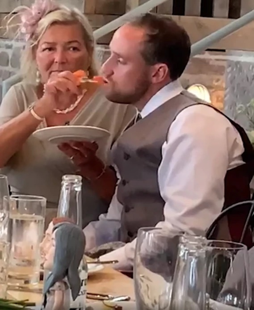 Mother-in-law of the year: caring Scottish woman fed drunk son-in-law at the wedding