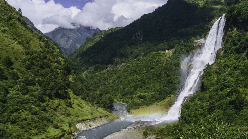 Más de 200 nuevas especies de animales y plantas descubiertas en el Himalaya