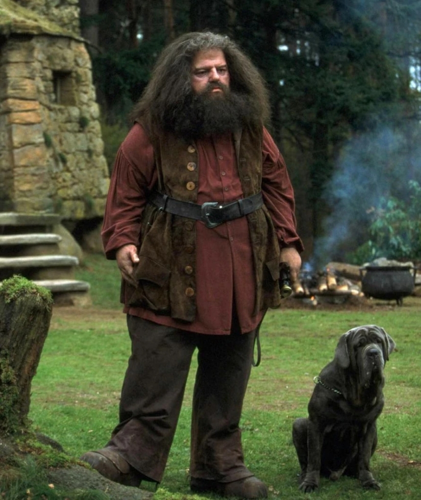 Murió el actor Robbie Coltrane, quien interpretó a Hagrid en Harry Potter
