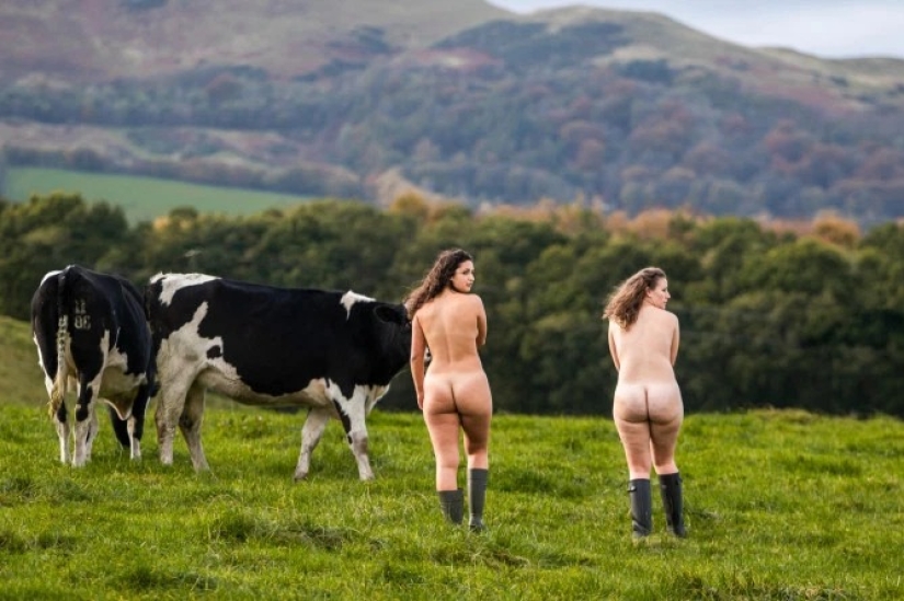 Naked Mercy: Scottish veterinary students undressed in the name of charity