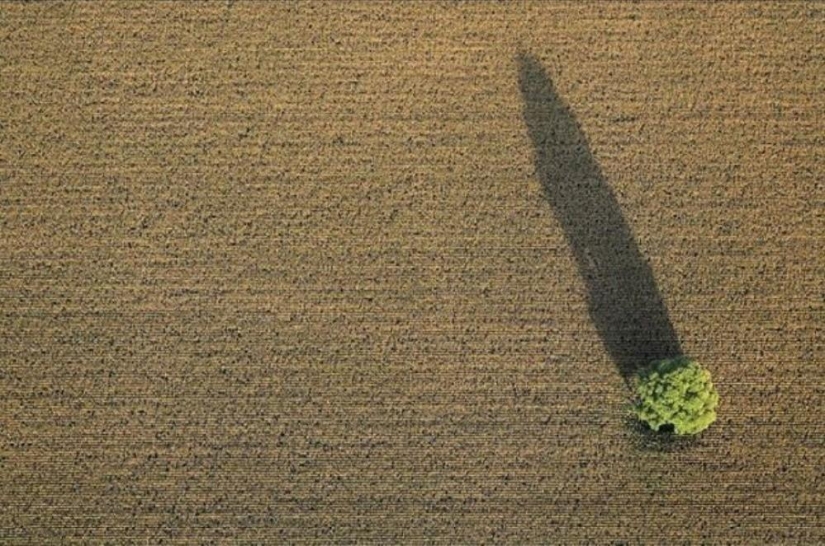 Natural minimalism - Pictolic