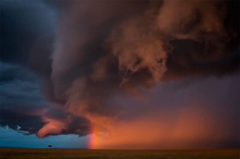 Nature fascinates: photos of the winners of GDT Nature Photographer of the Year 2020