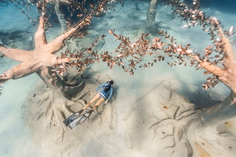 New Cypriot Underwater Sculpture Park in pictures
