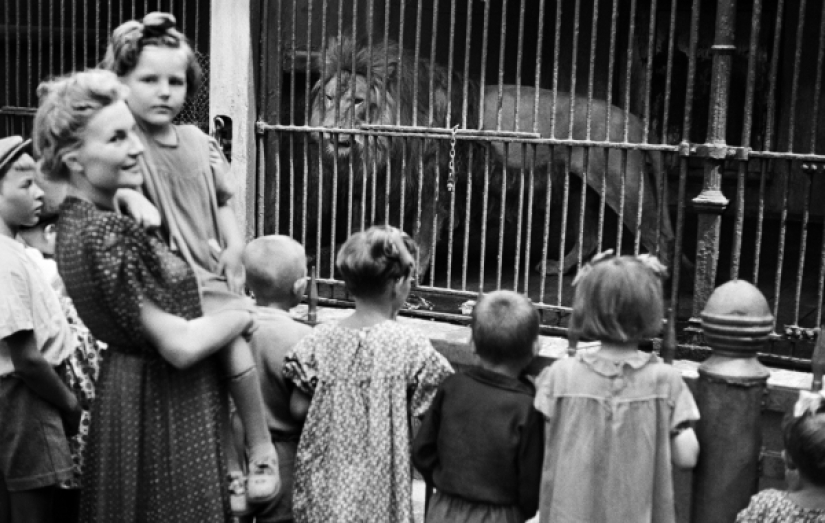 Niños en una jaula: 154 años del zoológico de Moscú