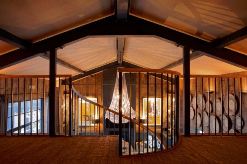 Noche salvaje: se ha abierto un impresionante hotel en Kent, donde podrá relajarse al lado de los leones