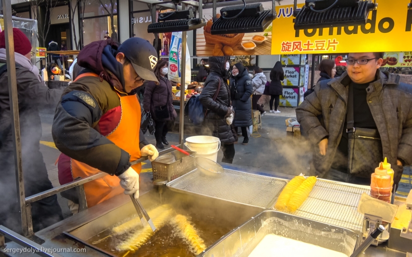 Not a single dog was injured: what to try from street food in seoul