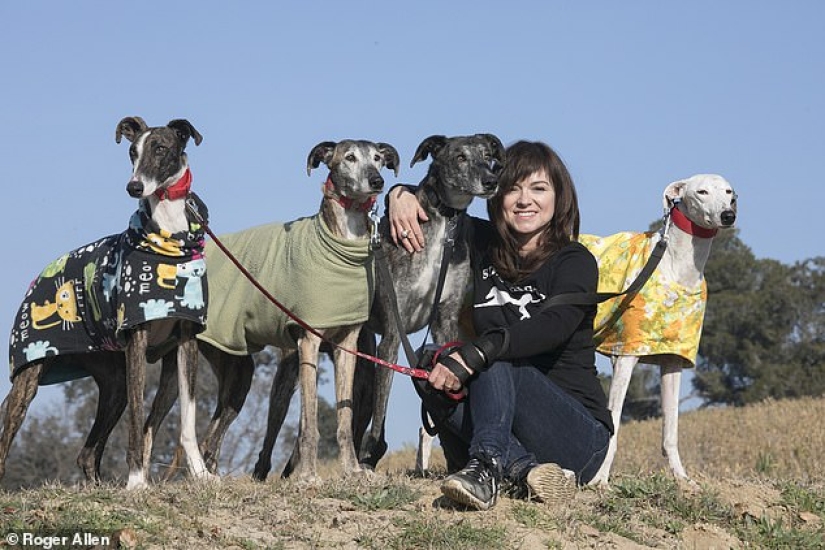 Not responsible for those who have been tamed: why Spanish hunters massively abandon greyhounds to die