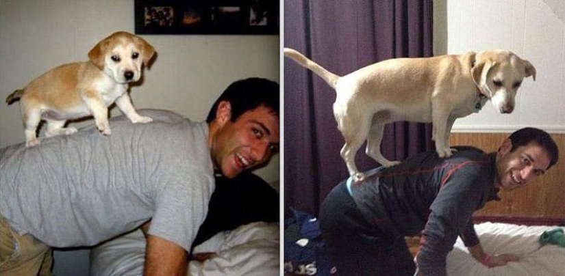Nuestros animales favoritos: fotos antes y después de crecer