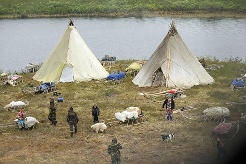 Off to the tundra: how Nenets celebrate the wedding