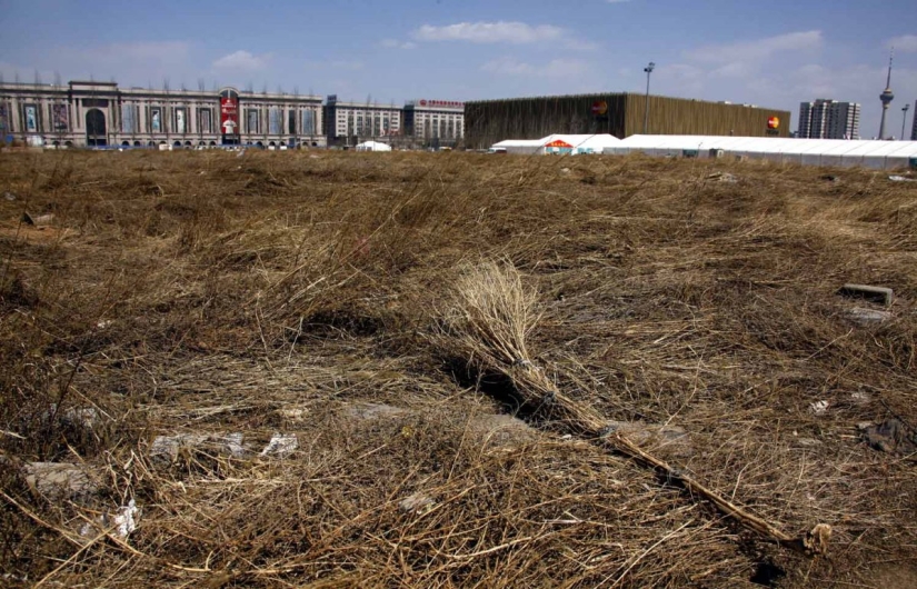 Older, worse, decrepit: Abandoned Olympic facilities today