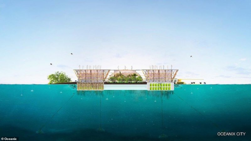On the waves of the future: the floating city will retain the coastal villages from floods