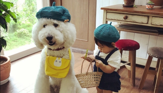 One-year-old Japanese girl, huge poodle and tender friendship