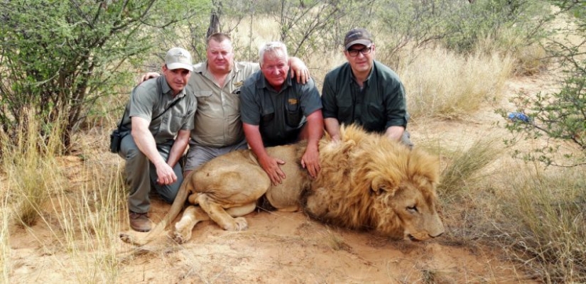 Operation Simba: billionaire Lord Ashcroft revealed a scheme of barbaric lion hunting in South Africa