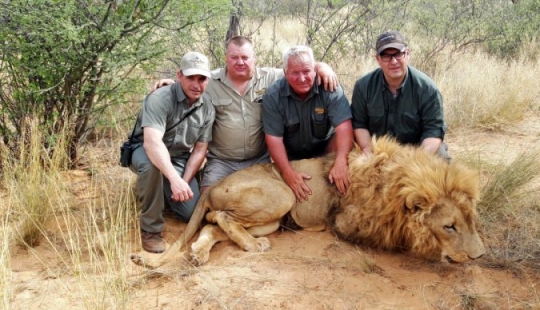 Operation Simba: billionaire Lord Ashcroft revealed a scheme of barbaric lion hunting in South Africa